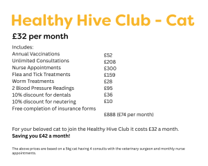Breakdown of prices for Healthy Hive Club Cat